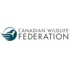 Canadian Wildlife Federation