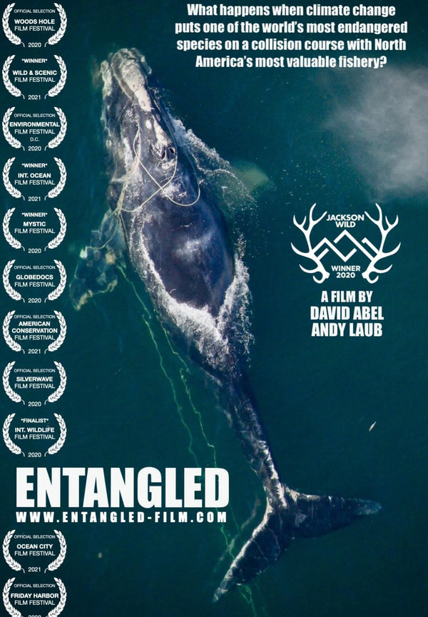 Entangled Poster