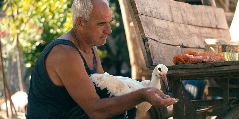 The Tale of Silyan header