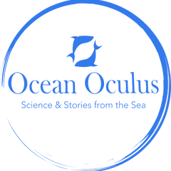 Ocean Oculus