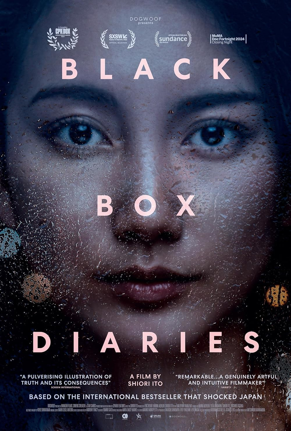 Black Box Diaries Poster